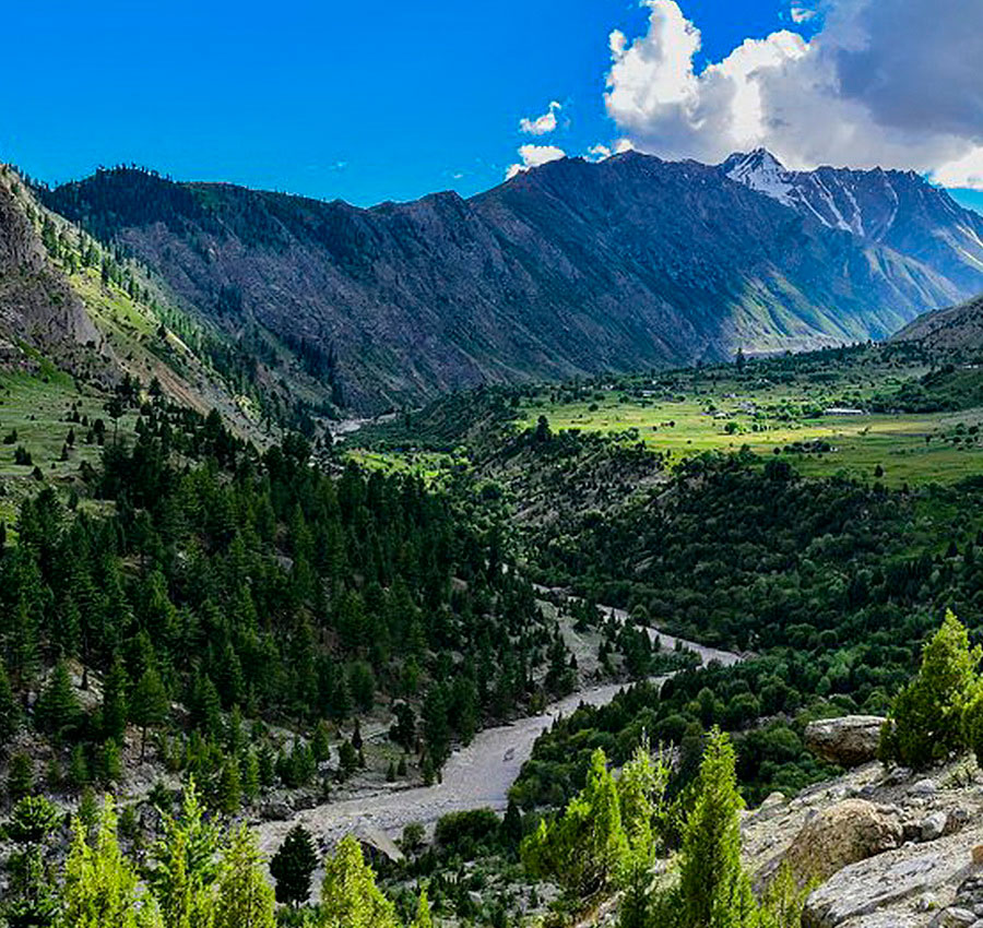 Rupal Valley