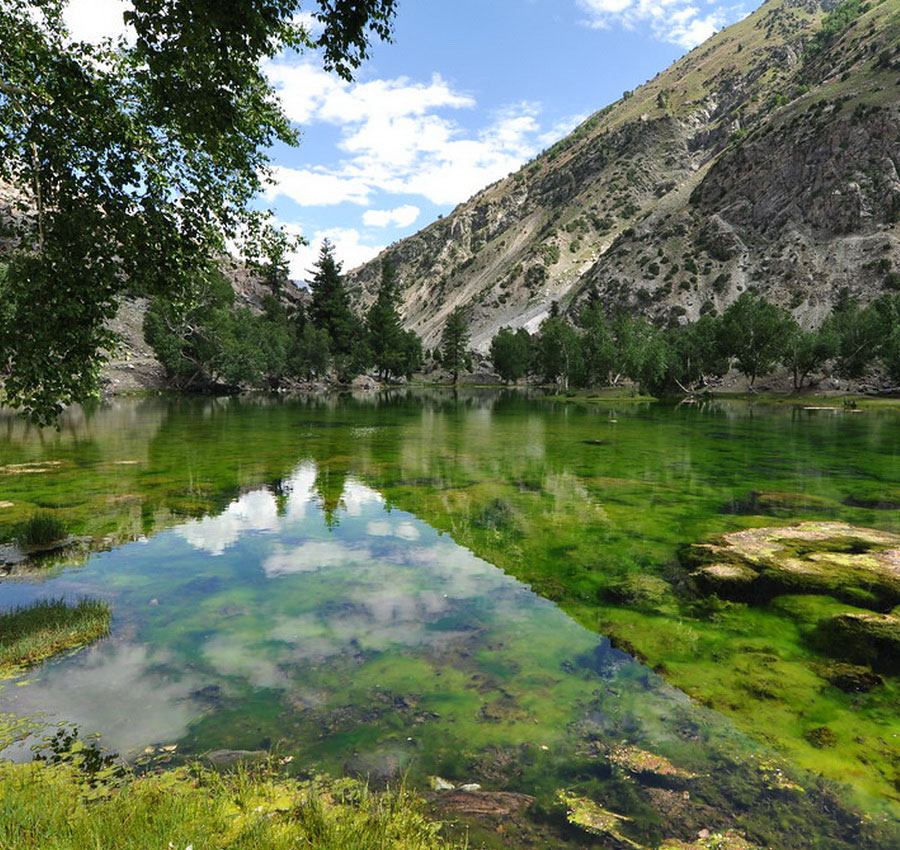 Naltar Valley