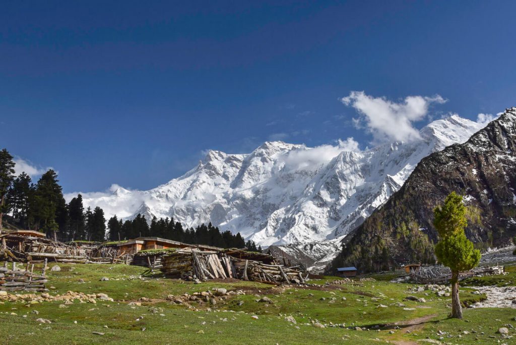 Fairy Meadows & Hunza Tour