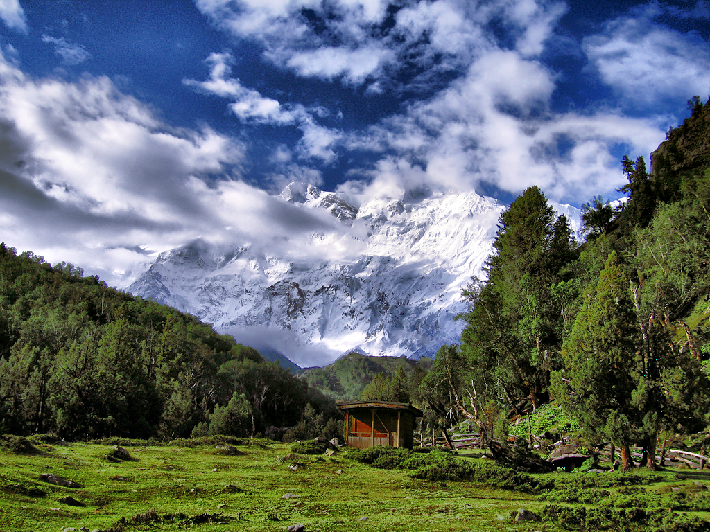 Fairy Meadows Tour